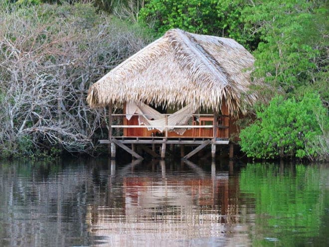 Amazônia — MeiDiMundo